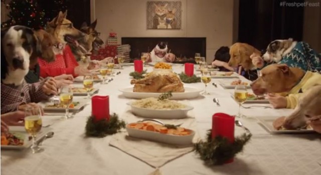 【面白動画】13匹の犬と1匹のねこが人間の手を使ってクリスマスディナー