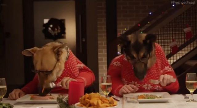【面白動画】13匹の犬と1匹のねこが人間の手を使ってクリスマスディナー