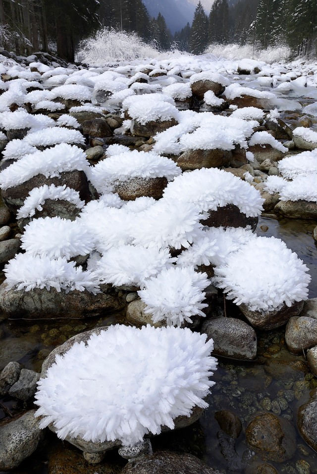 【画像】自然が創った美しい氷と雪のアート