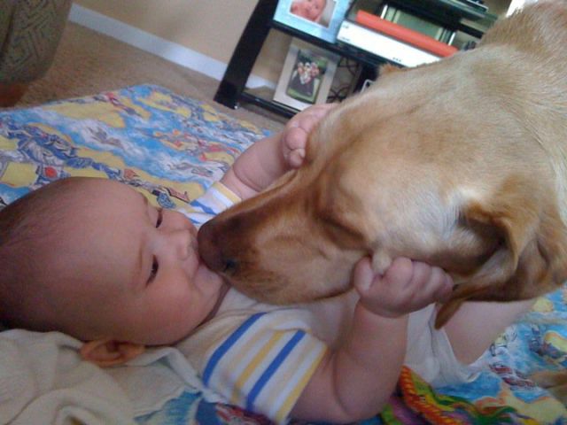 生まれた時からずっと一緒。犬と人間の本当の友情。