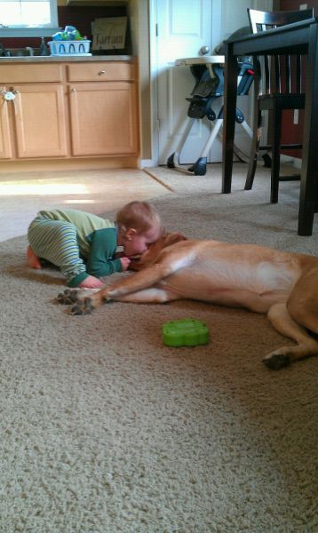 生まれた時からずっと一緒。犬と人間の本当の友情。