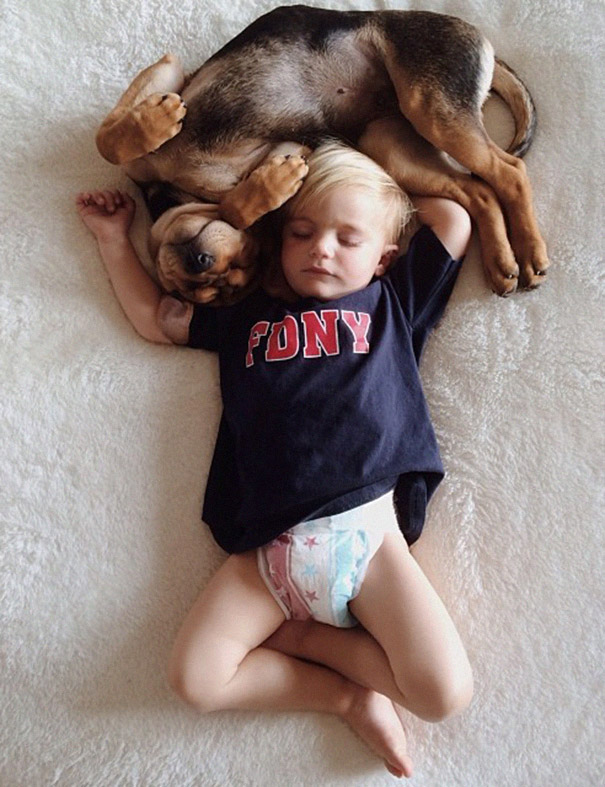 仔犬と赤ちゃんが一緒に寝てるだけで最強の可愛さ
