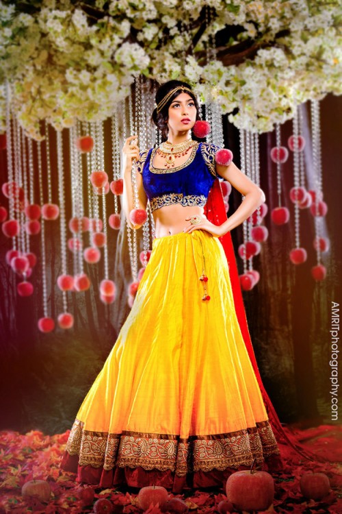 ディズニープリンセスをモチーフにしたインドの花嫁衣裳が美しい