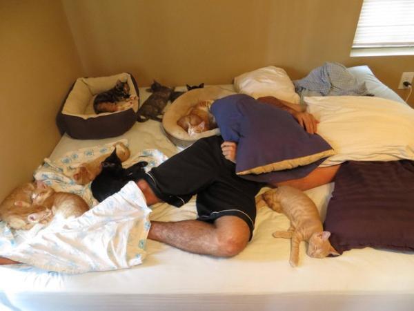 【面白画像】ベッドを占領したペットたち！