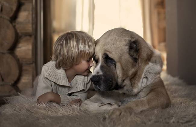 癒し画像 大型犬が人間の赤ちゃんを見守る姿に心がとろける 地球ジャック