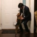 【感動動画】2年振りに実家に帰ってきた息子を犬がお出迎え