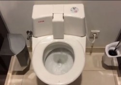 【驚愕動画】日本人も驚く！ドイツのトイレが進んでいる！