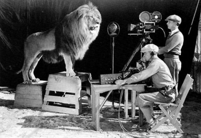 MGM映画のロゴのため、ライオンの吠える姿を撮影するカメラマン