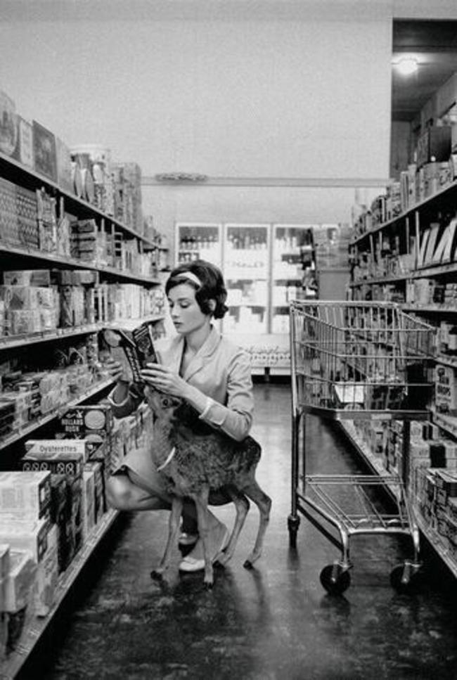 1958年、ビバリーヒルズでペットの鹿と買い物するオードリー・ヘップバーン