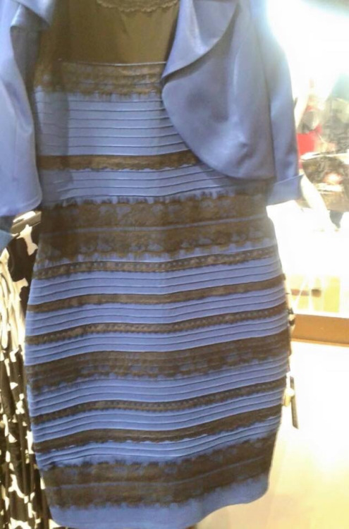 ドレスの色が青か白の次は猫が階段を昇っているか降りているか