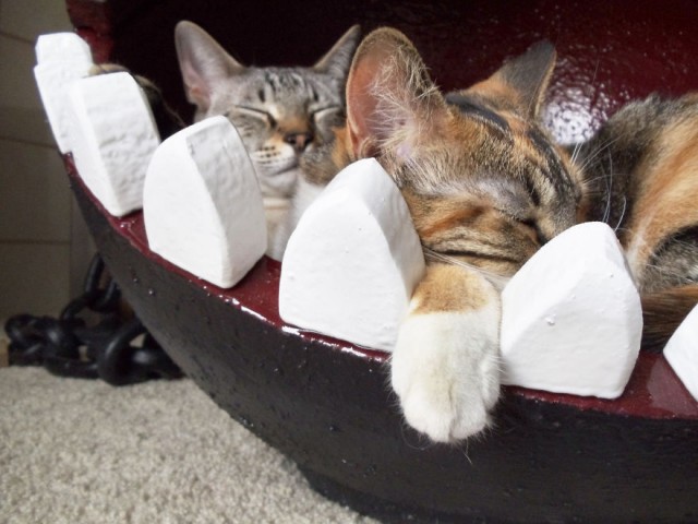 スーパーマリオのキャラ、ワンワンの猫ベッドを作ってみた