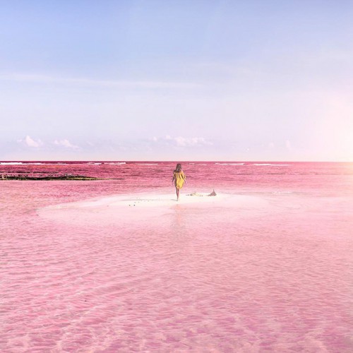 pink-lagoon1